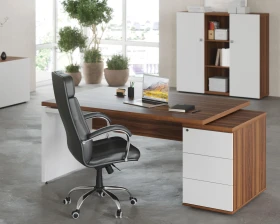 Кабинет руководителя Сион / Zion images