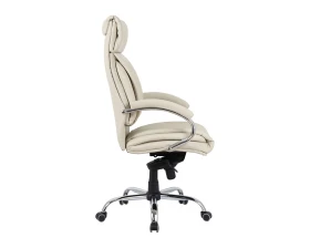 Кресло CHAIRMAN CH423 эко images